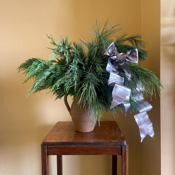 Dutch Pine and Conifer