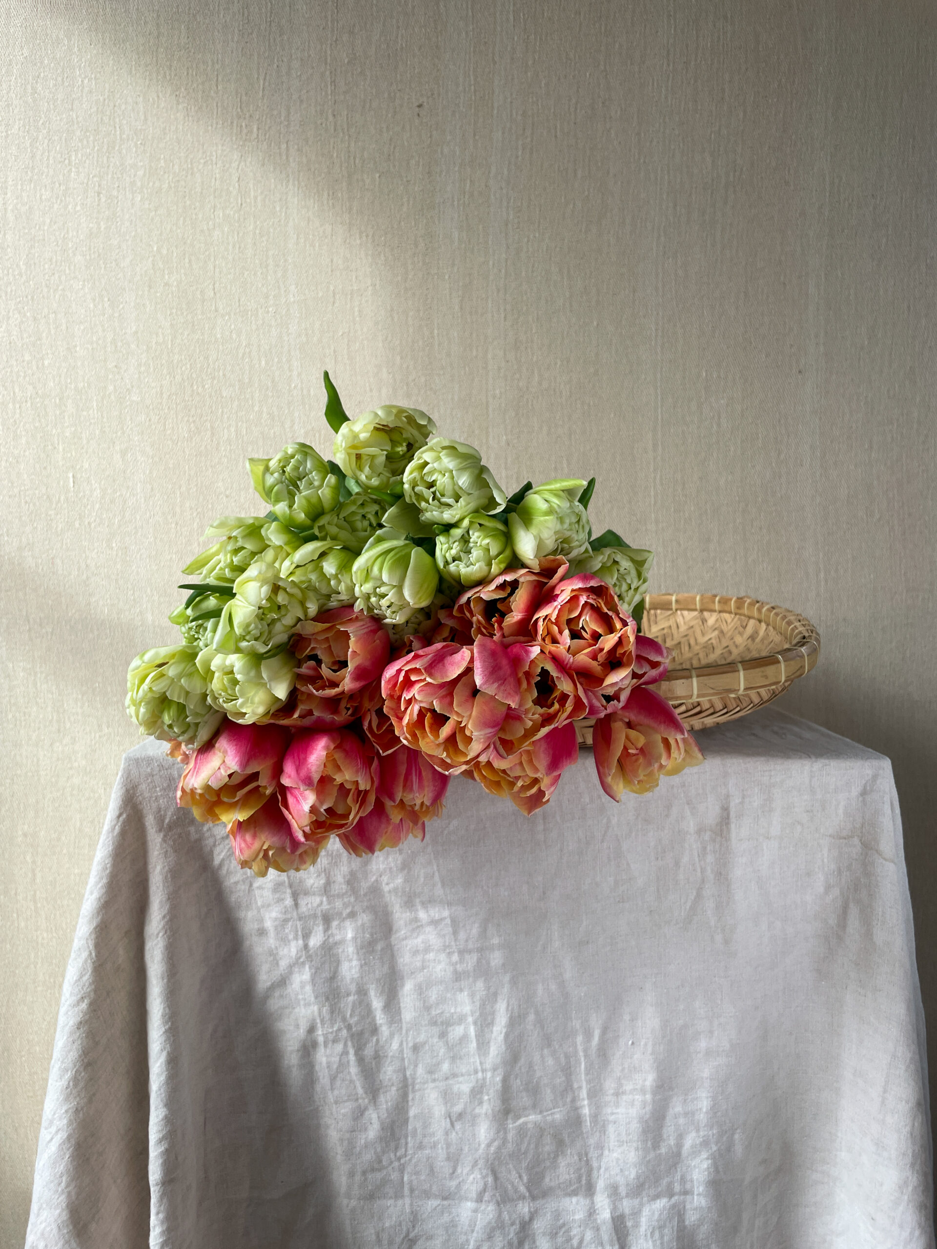 Lincolnshire tulips for Mother's Day