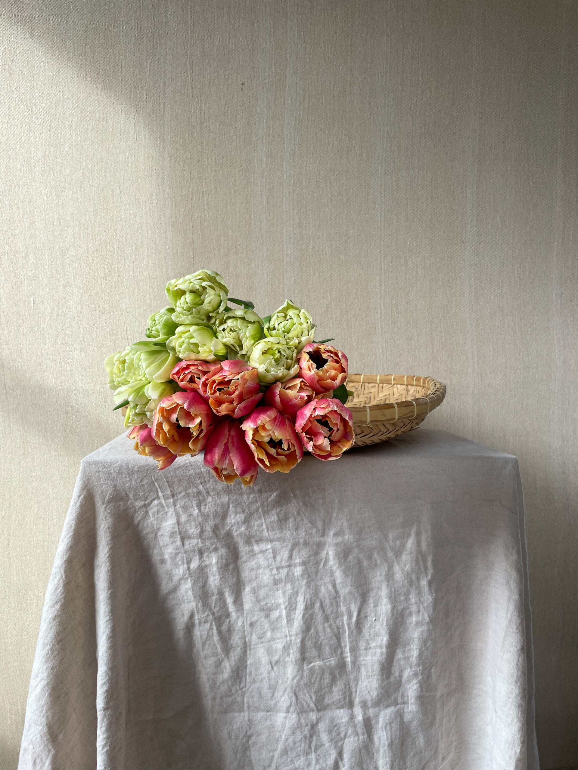 Lincolnshire tulips for Mother's Day