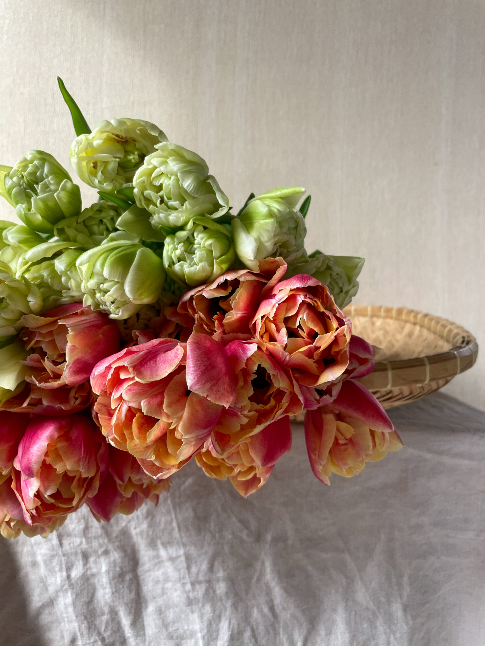 Lincolnshire tulips for Mother's Day