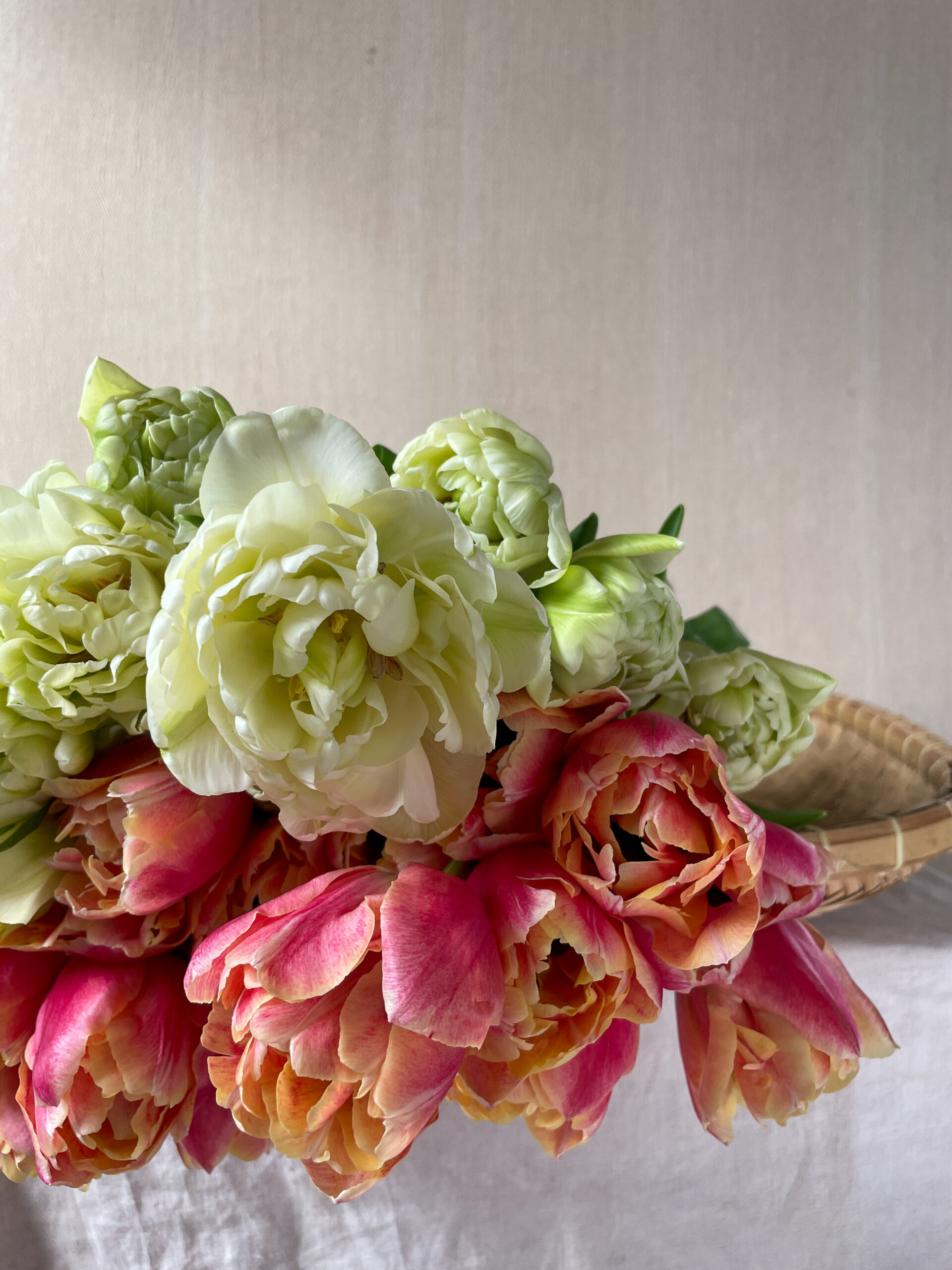 Lincolnshire tulips for Mother's Day